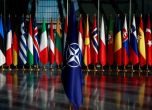 Германия пое силите на НАТО от 11 500 войници