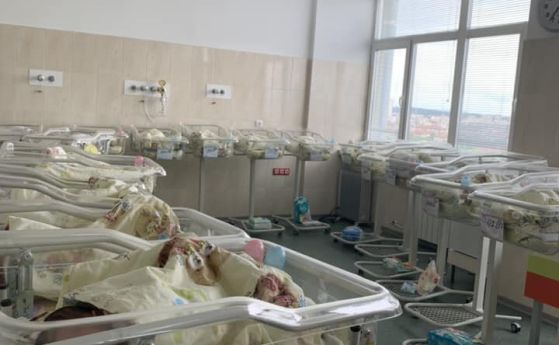 13 бебета са родени в Майчин дом от началото на годината