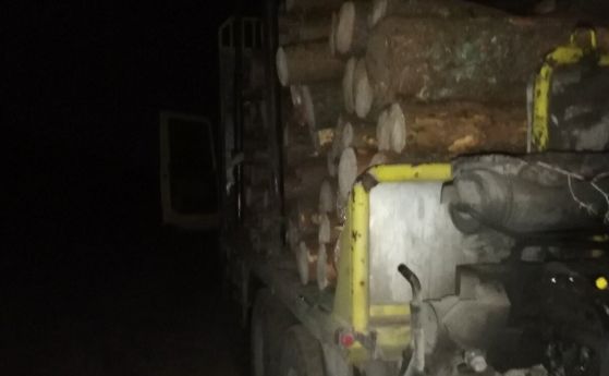Горските в Батак задържаха камион с бракониерска дървесина