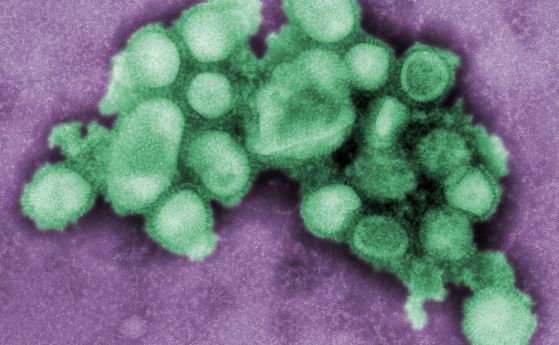 Бургас е на прага на грипна епидемия