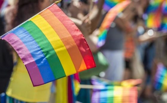 Първо дело за ЛГБТ пропаганда в Русия за книгата 'Лято в пионерска връзка'