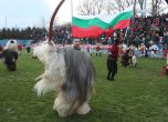 7 хиляди души се включиха във фестивала ''Симитлия - Древната земя на кукерите''