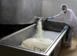 Производителят на защитено сирене в Румъния получава 1.5 млн евро държавна помощ за енергийна ефективност