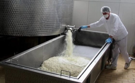 Производителят на първия румънски млечен продукт защитен на европейско равнище