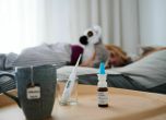 Грипна епидемия в Ямболска област от 25 до 31 януари