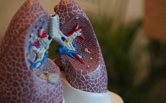 Домашното лечение с кислород: НЗОК не е отпускала апарати заради липса на доставки