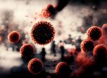 60 са новите случаи на коронавирус у нас
