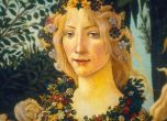Boticelli, Florence and the Medici