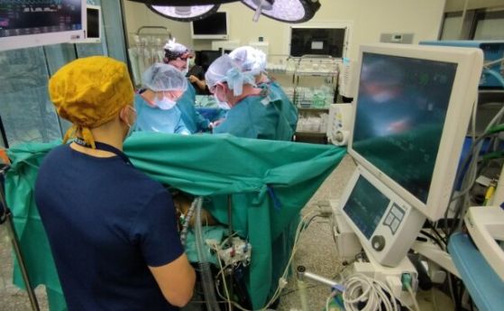 В болница Лозенец трансплантираха бъбрек от жив донор