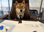 Мъск ''назначи'' куче за главен изпълнителен директор на Туитър