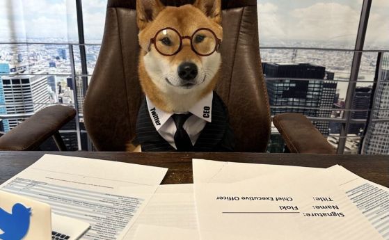 Мъск ''назначи'' куче за главен изпълнителен директор на Туитър