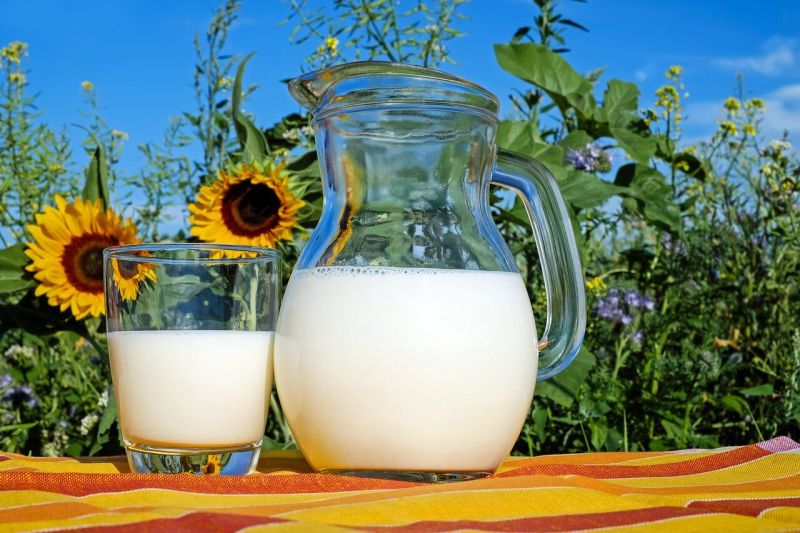 Ниските изкупни цени на млякото в България принудиха много животновъди