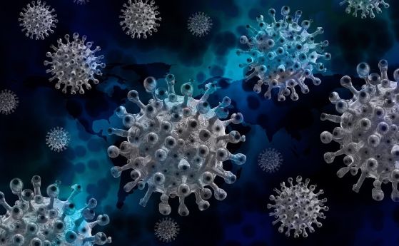 81 са новите случаи на коронавирус потвърдени при направени 3 226