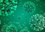 181 са новите случаи на коронавирус у нас
