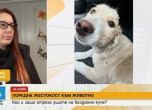 Сузанита Мустафи разказва за кучето с отрязани уши (на снимката).