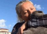 От 15 кг. се стопи на 4, но е жива: спасиха котка след 31 дни под руините на турските земетресения