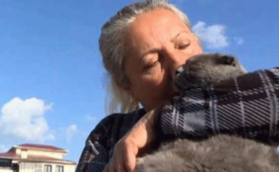 От 15 кг. се стопи на 4, но е жива: спасиха котка след 31 дни под руините на турските земетресения