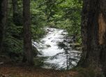 РИОСВ глоби Рилския манастир за изливане на отпадни води в река Рилска