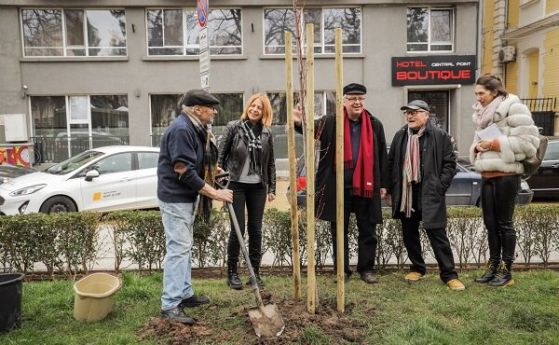 Звезди от София филм фест засаждат дървета в столични паркове