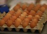 Македония замразява цената на яйцата навръх Великден
