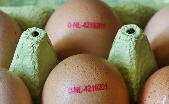 БАБХ: Яйцата от Украйна са безопасни