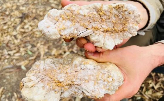 Златен джакпот: Късметлия откри камък с 2,6 кг злато за 240 хиляди австралийски долара