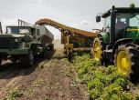 Зърнопроизводители блокират ''Дунав мост 2'' край Видин, земеделски производители - пътен възел ''Даскалово''