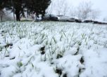 Снегорини през април, опесъчават пътища на Витоша