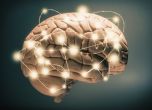 Човешкият мозък може да създаде фалшив спомен само за половин секунда