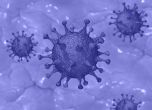Дългият COVID може да е сигнал за проблем на имунната система