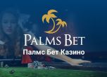 Palms bet казино продължава да се развива с нови игри и провайдъри