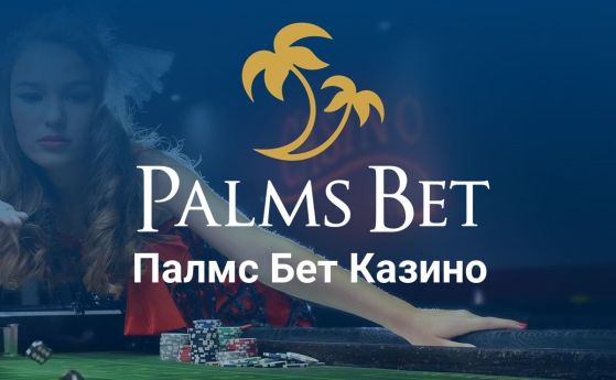 Palms bet казино продължава да се развива с нови игри и провайдъри