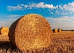 Полша иска санкции срещу вноса на руски селскостопански продукти в ЕС