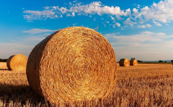 Полша иска санкции срещу вноса на руски селскостопански продукти в ЕС