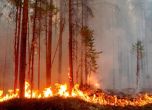 Евакуираха 30 000 души заради горски пожари в Канада