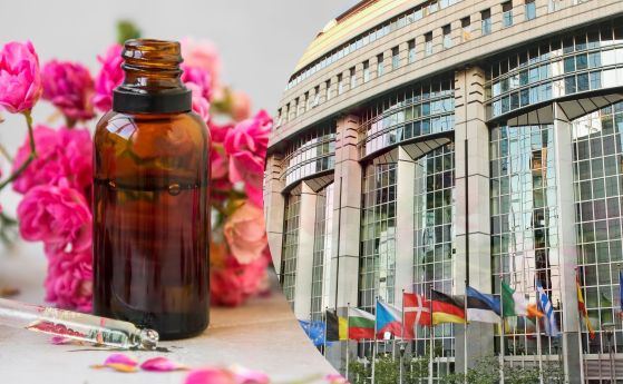 Българските евродепутати се обявиха в защита на розовото масло