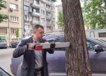 Дървета 