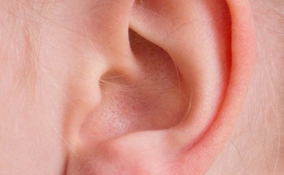 Акупунктура на ухото подпомага отслабването