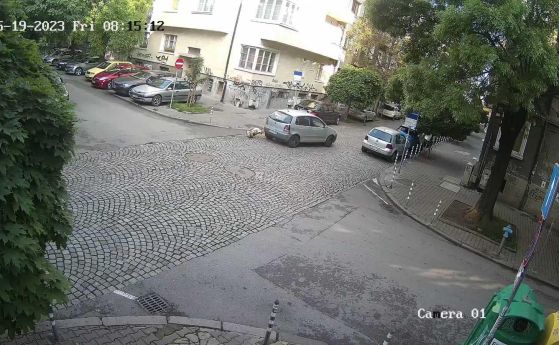 Шофьор прегази куче в центъра на София и избяга