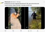 След предизвикания от Русия потоп: Безброй животни са удавени, вижте трогателни кадри как украинци спасяват кучета и сърни