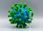 8 милиона ваксини срещу Covid-19 ще бъдат унищожени в Белгия