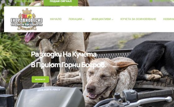 Как общинското предприятие ''Екоравновесие'' 13 часа не намери време да прибере куче в София