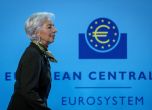 Европейската централна банка ни пита как да изглежда следващата серия евробанкноти