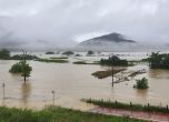 Проливни дъждове и свлачища убиха 22 души в Южна Корея