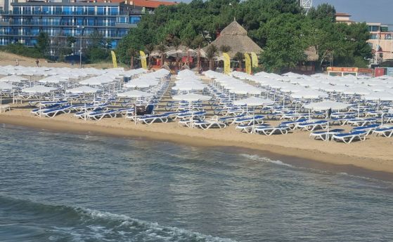 Алигатор със залепена уста: Туристи подадоха сигнал за ''атракцията'' в Слънчев бряг
