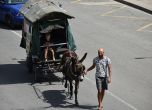 Френско семейство с каруца, пътуващо към Палестина, мина през Ловеч (снимки)