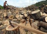 Природозащитници, предприемачи и общественици против текст в Закона за горите, позволяващ повече сеч