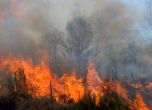 Два големи пожара бушуват в Източните Родопи