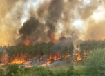 Локализираха огромния пожар в Пазарджишко