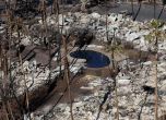 89 жертви на пламъците в Мауи, най-смъртоносният горски пожар в САЩ от сто години